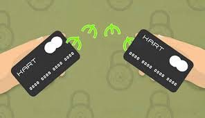 3-cü Mikrorayon Dairəsi – Xocəsəndə bəzi kafelərlə bağlı vergi və əmək qanunvericiliyi ilə bağlı iddialar araşdırılmalıdır